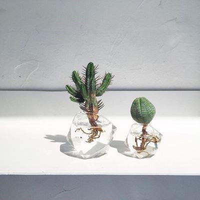 星空下载手机app下载截图